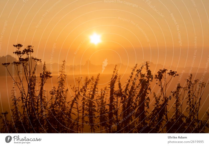 Mystic sunrise Design - a Royalty Free Stock Photo from Photocase