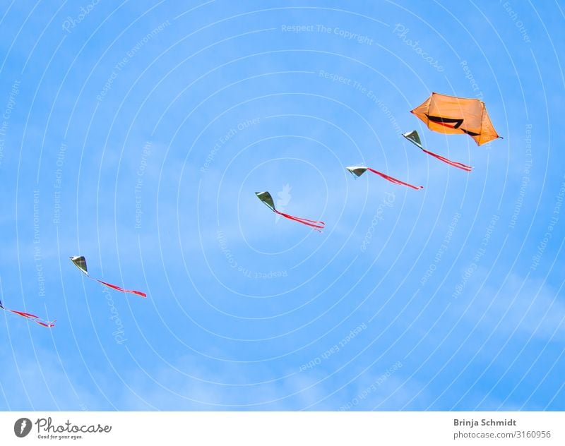 indian flag kites flying