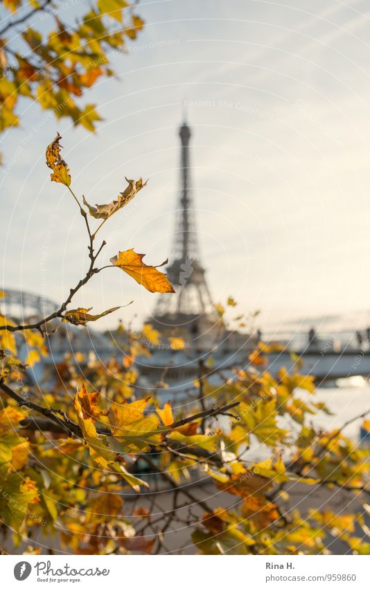 Paris Photography: A Tour of the City's Gorgeous Holiday