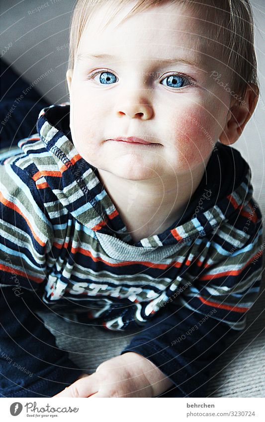 cute little boy with brown hair and blue eyes