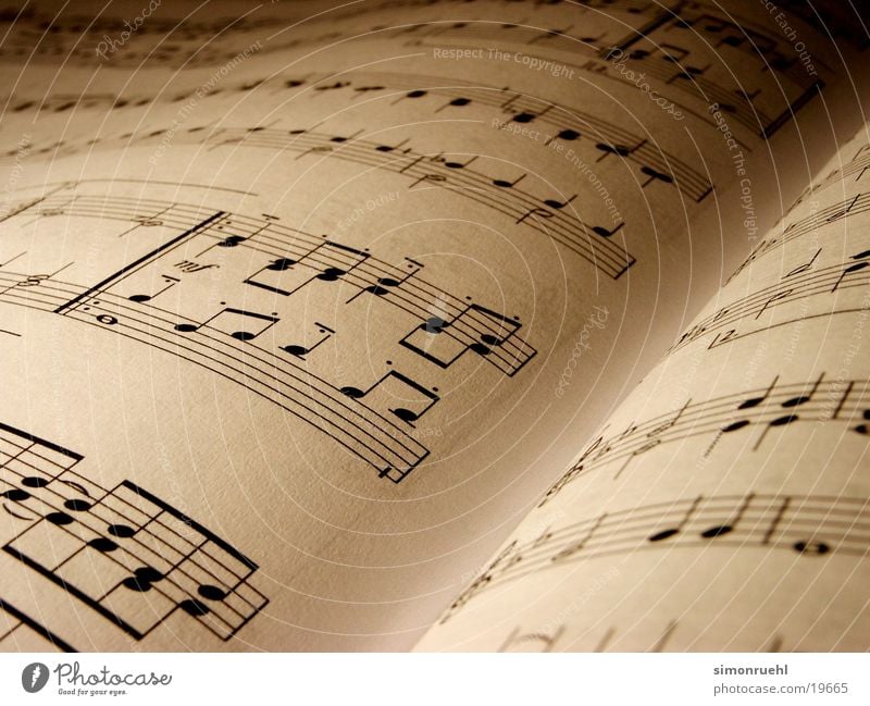 tumblr music notes photography