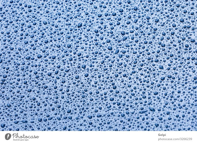 Blue clean clear dew drip drop drop of water droplet liquid macro  HD wallpaper  Wallpaperbetter