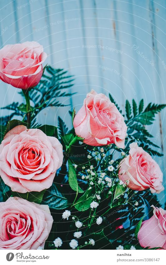Premium Photo | Beautiful background of pink roses