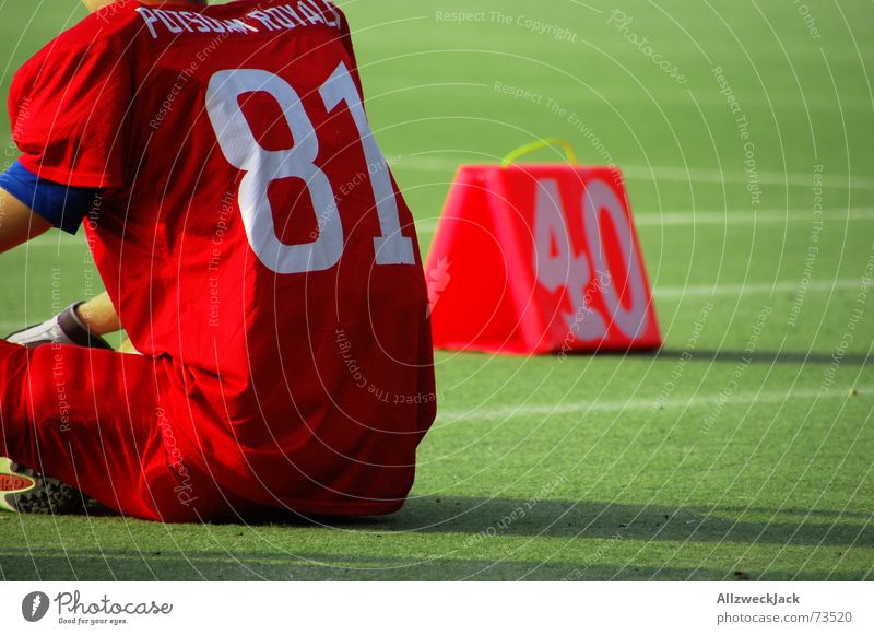 Man Wearing Football Jersey · Free Stock Photo