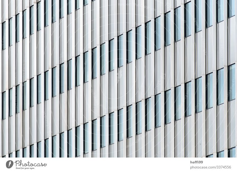 photography vertical lines