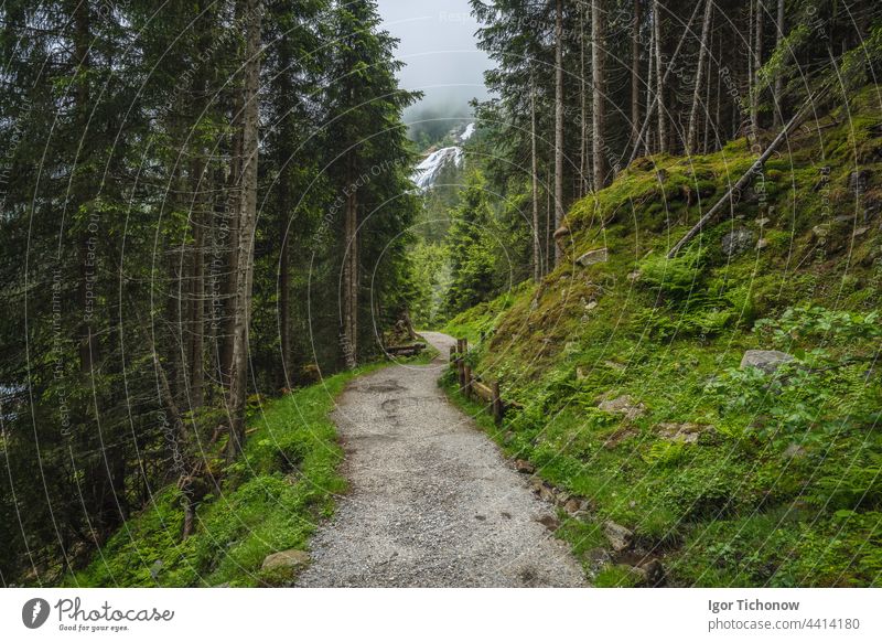 winding mountain trail