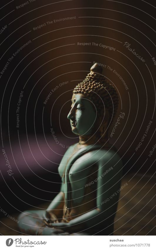 180 Best Buddha peace ideas in 2023  buddha buddha art buddha painting