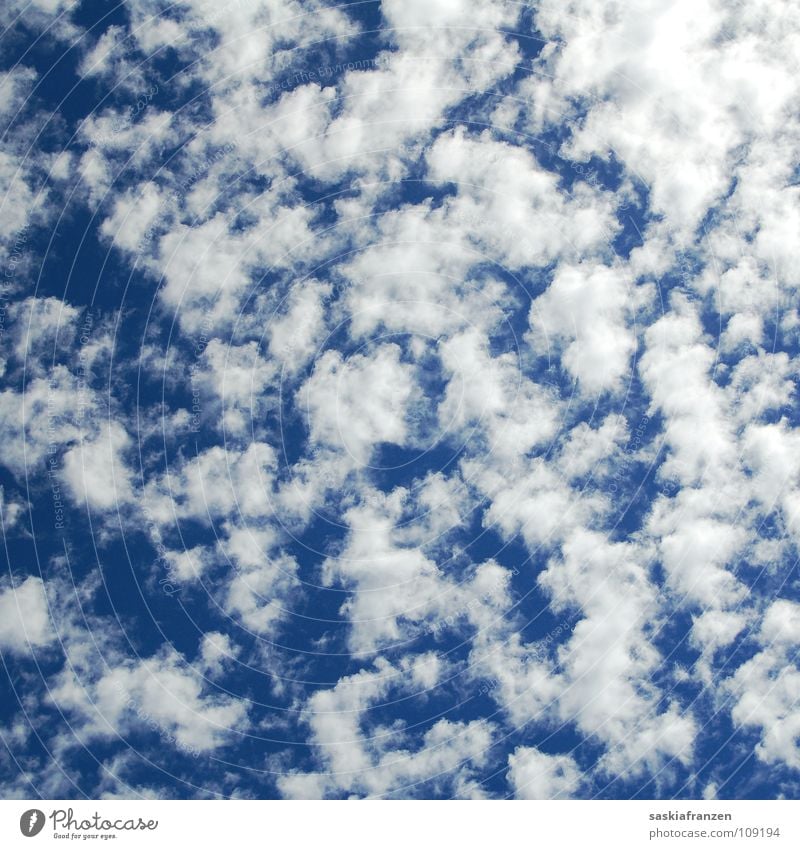 Royalty-Free photo: Blue Sky / White Clouds