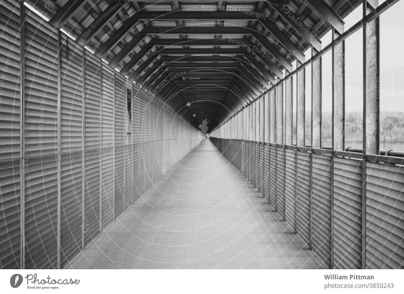 one point perspective black and white photography