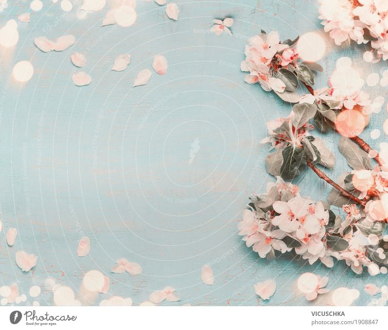 pretty backgrounds with flowers