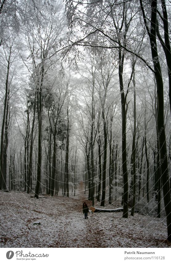 BLACK AND WHITE - Walk In Wonderland