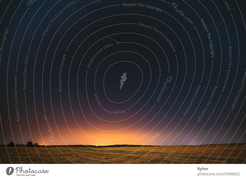 The Meteoric Rise of Orbit