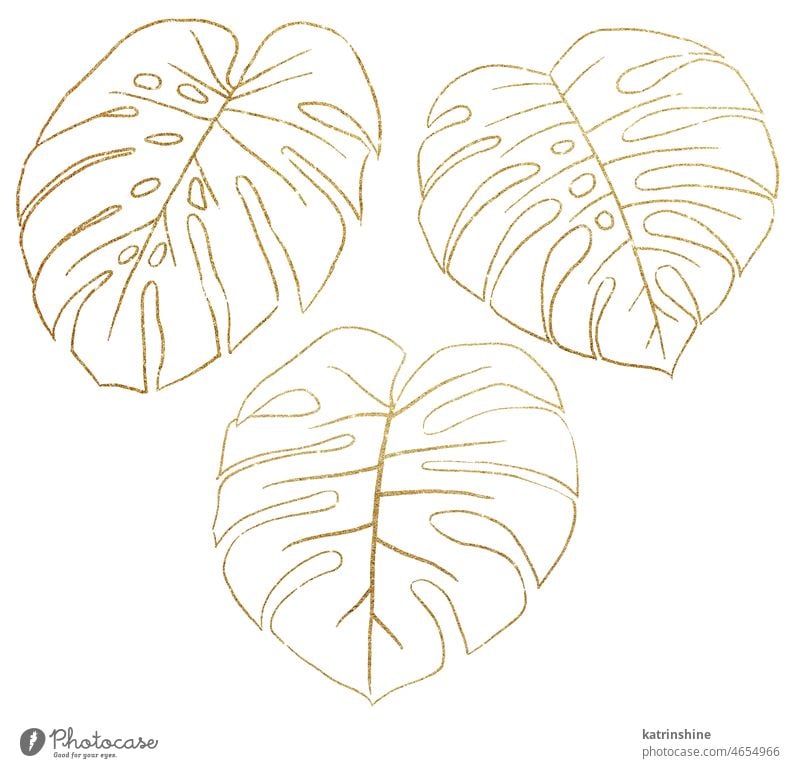 Green tropical leaves. Hand drawn rainforest nature leaf, color sketch By  Tartila | TheHungryJPEG